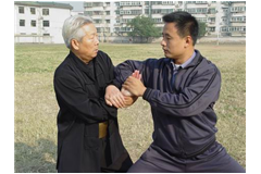 《峨嵋技法·闭关十二手》——中华武学擒拿瑰宝
